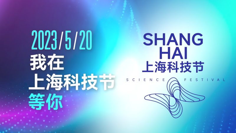 数据安全风险评估：揭秘企业如何筑牢数字防线